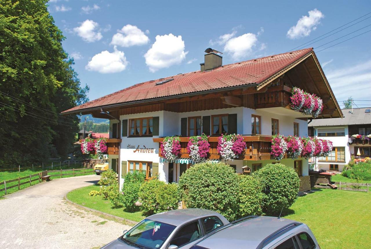 Haus Andrea Διαμέρισμα Fischen im Allgaeu Εξωτερικό φωτογραφία